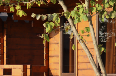 Эко-комплекс «Ельмира»