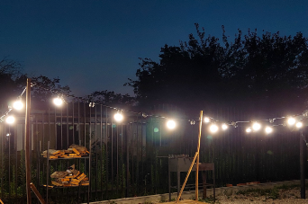 Эко-комплекс «Ельмира»