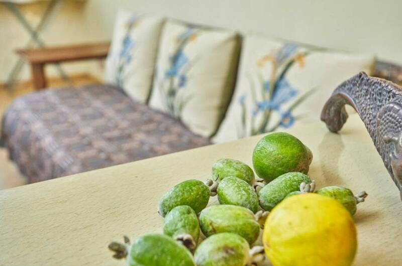 Отель «Ахимса»