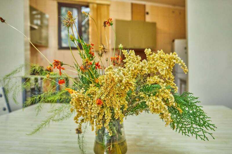 Отель «Ахимса»