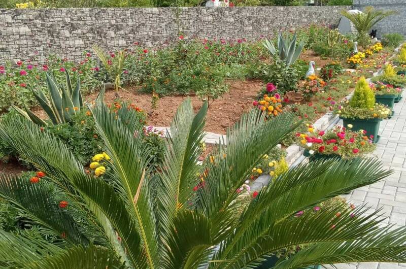 Гостевой дом «У Сюзанны»