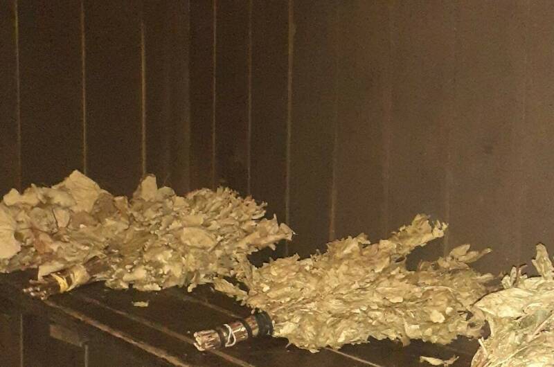 Гостевой дом «У моря»