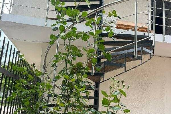 Гостевой дом «У Дамира»