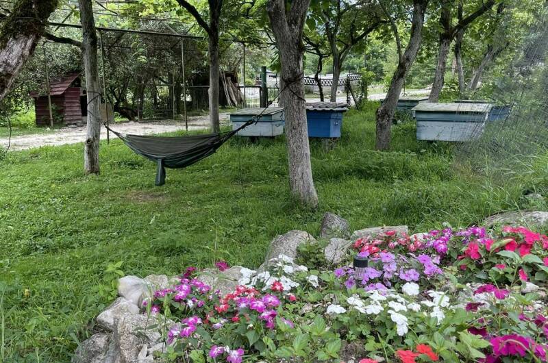 Гостевой Дом в Хашупсэ