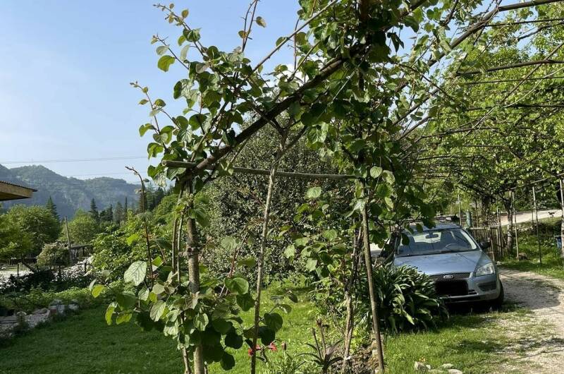 Гостевой Дом в Хашупсэ