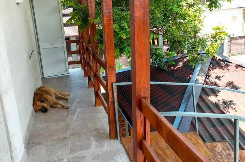 Гостевой дом «У Саида»