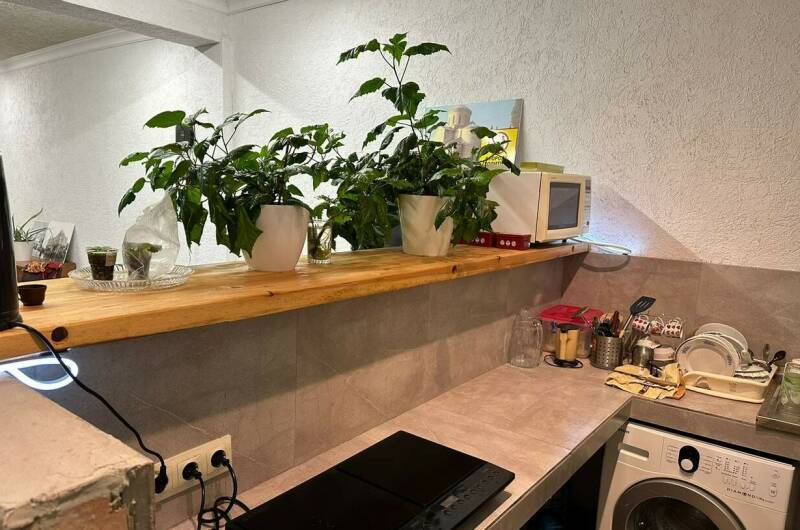 База отдыха «Baga Hotel»