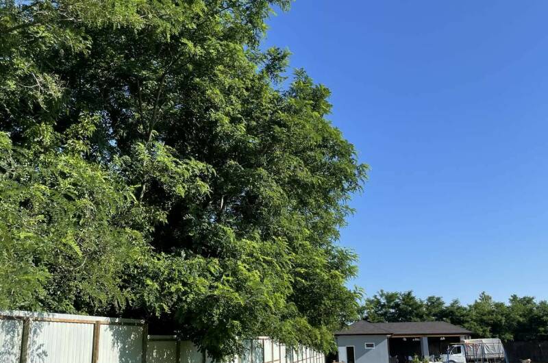 ЭКО Отель «Лыхны»