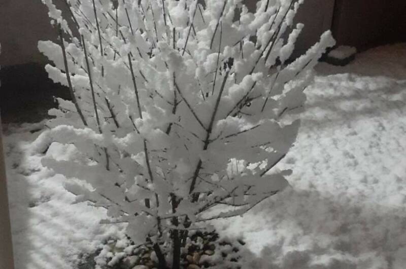 Мини-гостиница «Маяк»