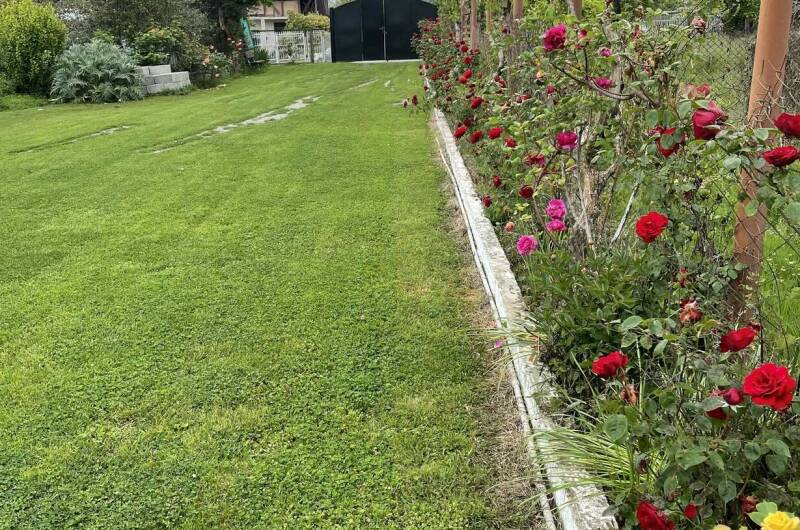 Уютные эко-домики