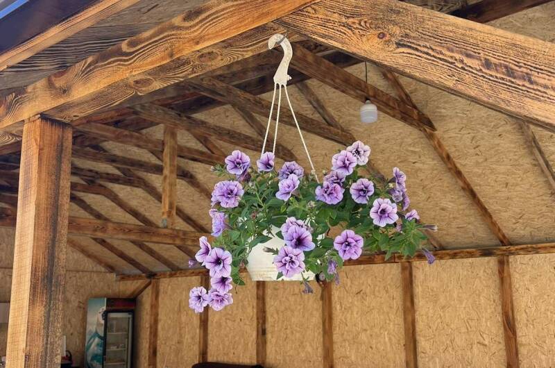 Гостевой дом «Пальма»