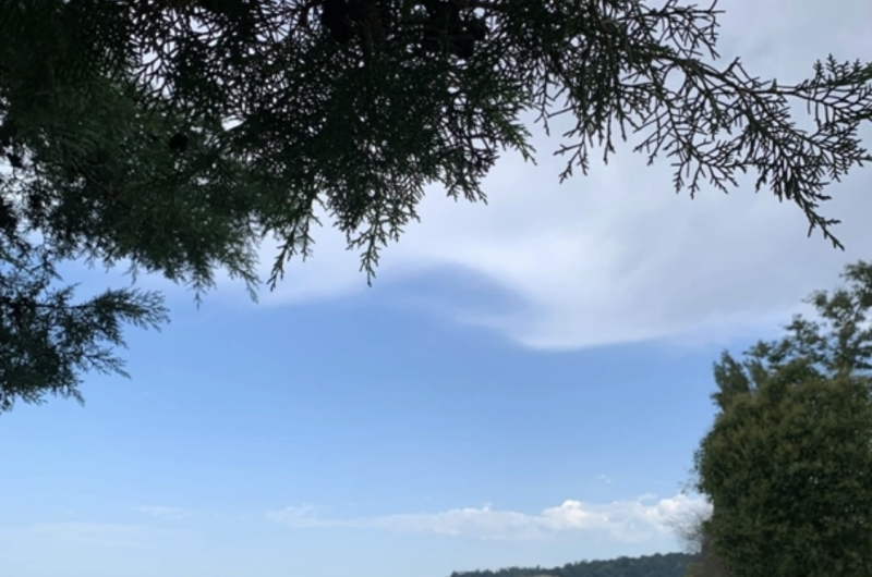 Комната в частном доме «В гости к Эсме»