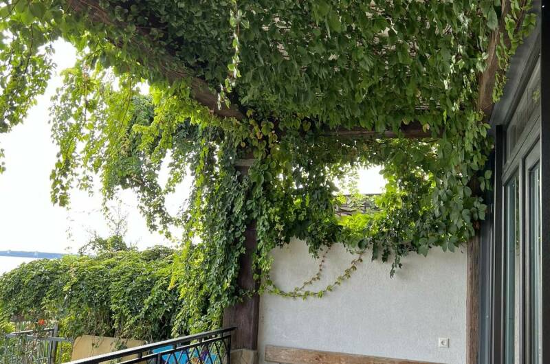 Гостевой дом «Арго»