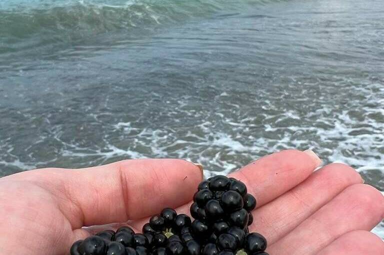 «Эко» домик