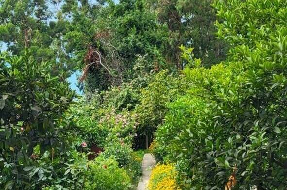 Частный сектор «Цветущий рай»