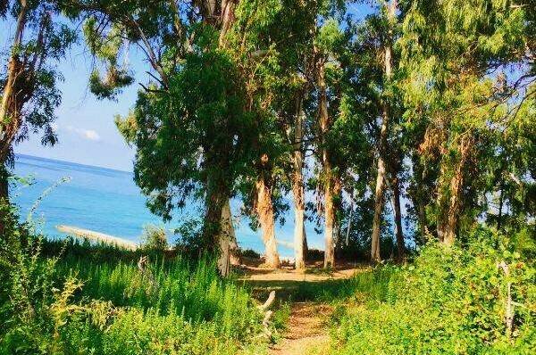 Частный сектор «Цветущий рай»