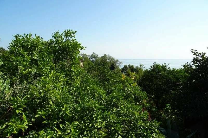 Частный сектор «Цветущий рай»