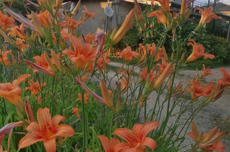 Гостевой дом «De Sofía»