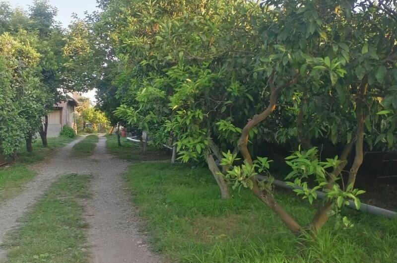 Гостевой дом «De Sofía»