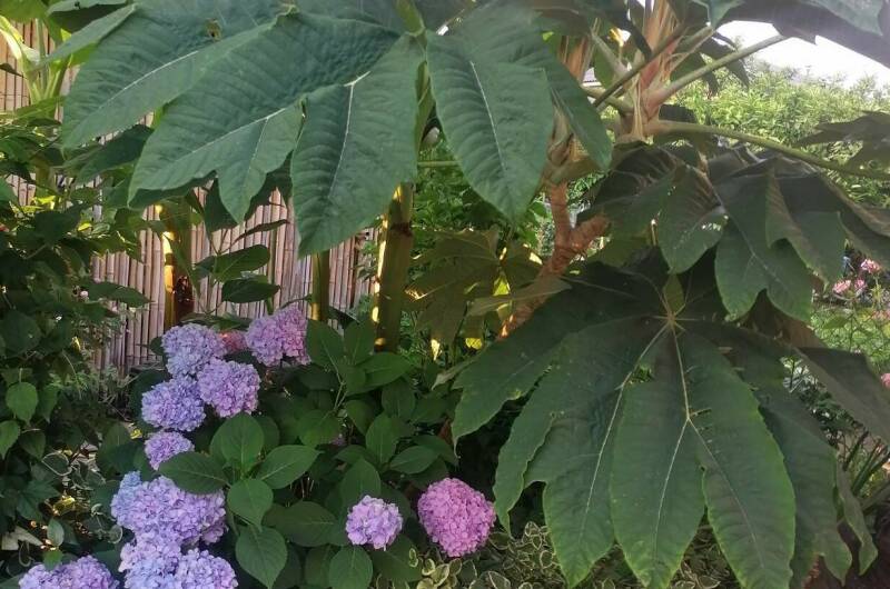 Гостевой дом «De Sofía»