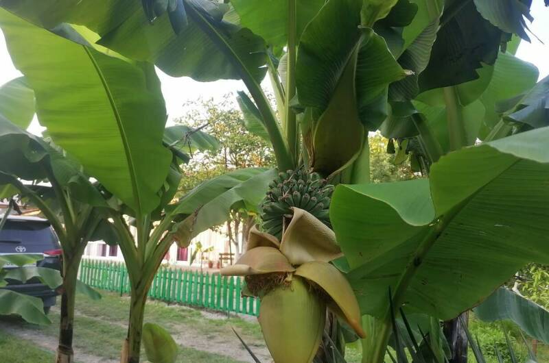 Гостевой дом «De Sofía»