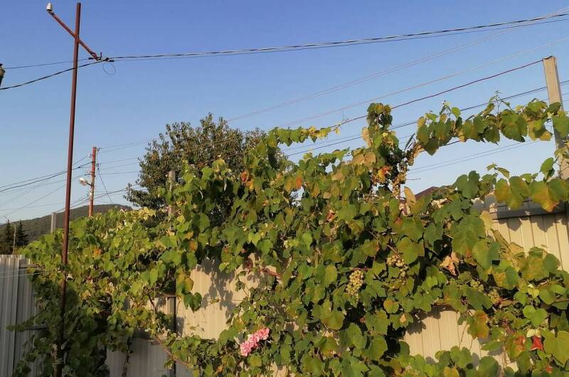 Гостевой дом «Teremok»