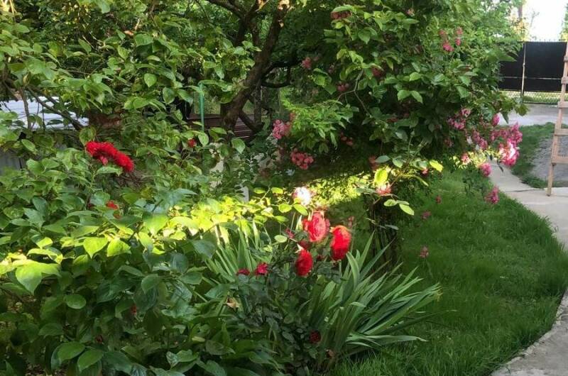 Гостевой дом «ИсЭм»