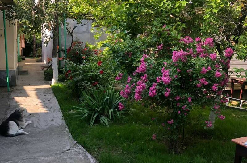 Гостевой дом «ИсЭм»