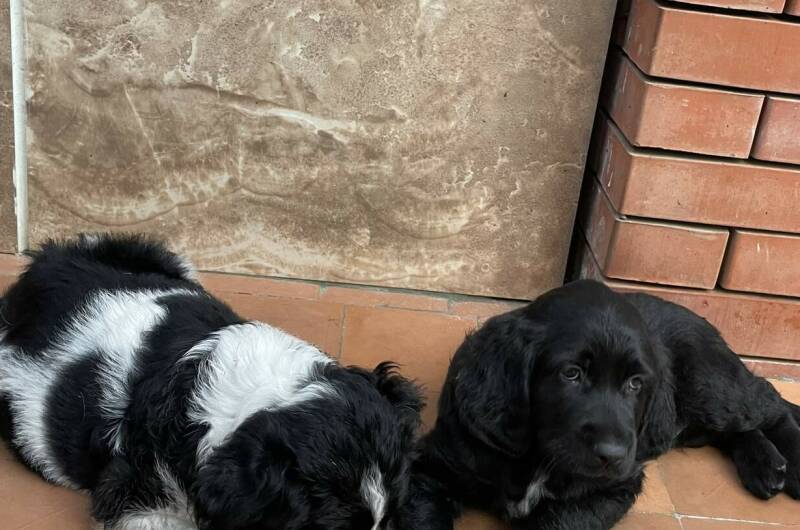 Гостевой дом «Апельсин»