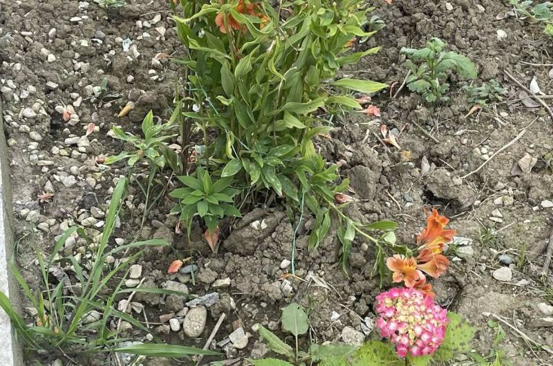 Гостевой дом «Фортуна»