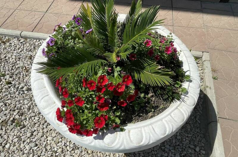 Гостевой дом «Фортуна»