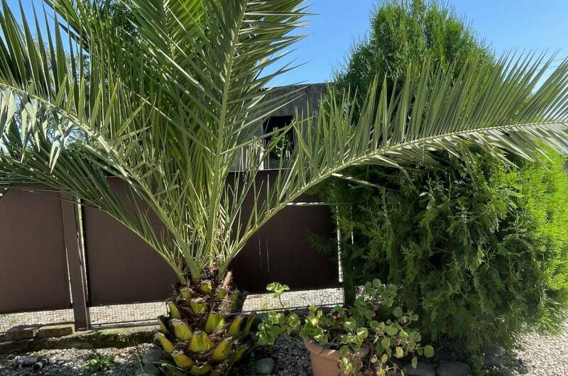 Гостевой дом «Фортуна»