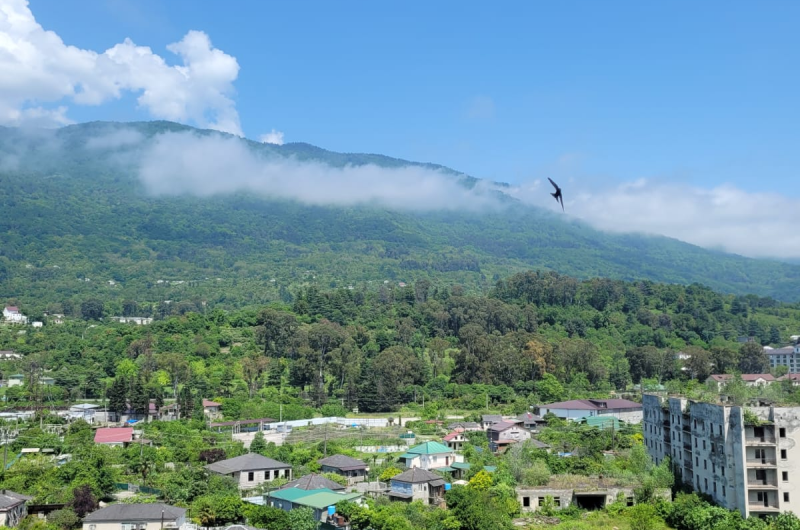 Однокомнатная квартира на Лакоба