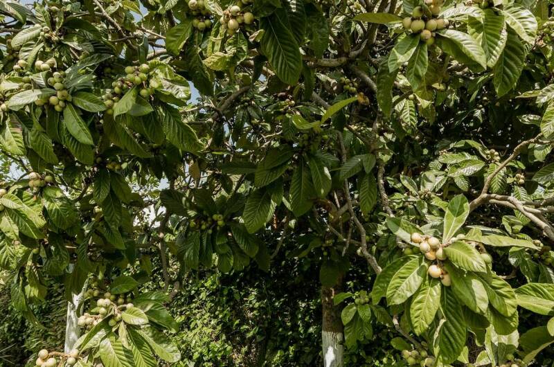 Гостевой домик «Комарова»