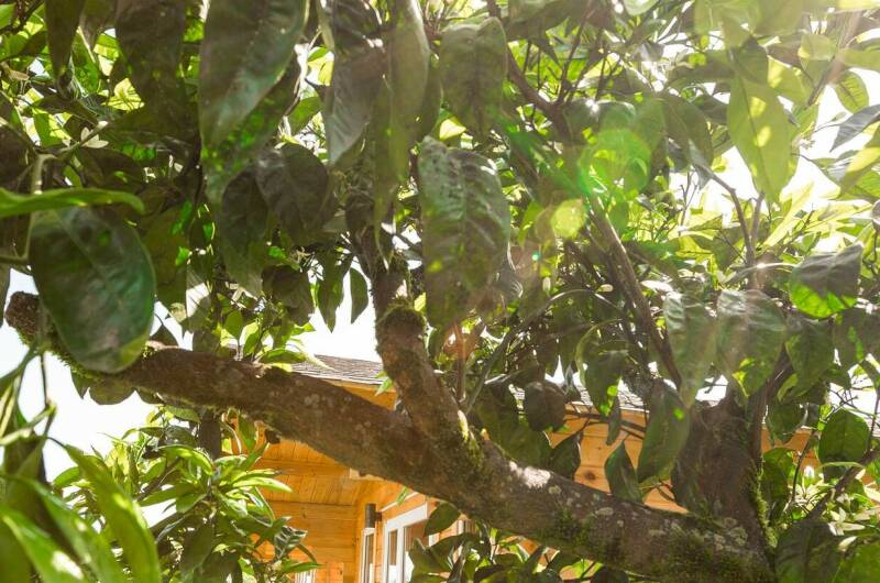 Гостевой домик «Комарова»