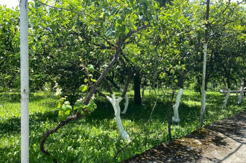 Трехкомнатный дом под ключ