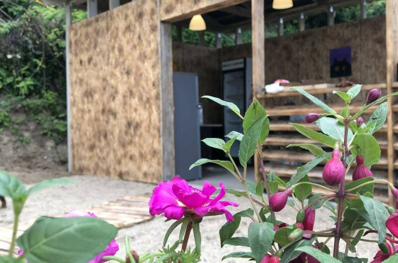 Гостевой дом «Пегас»