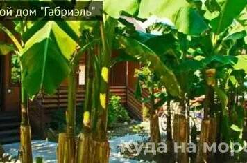 Гостевой дом «Габриэль»