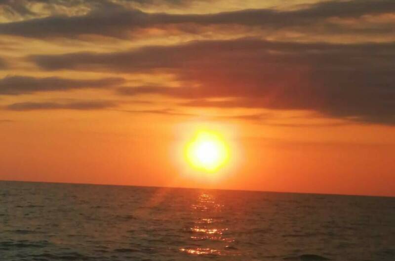 Гостевой дом «Фиалка»