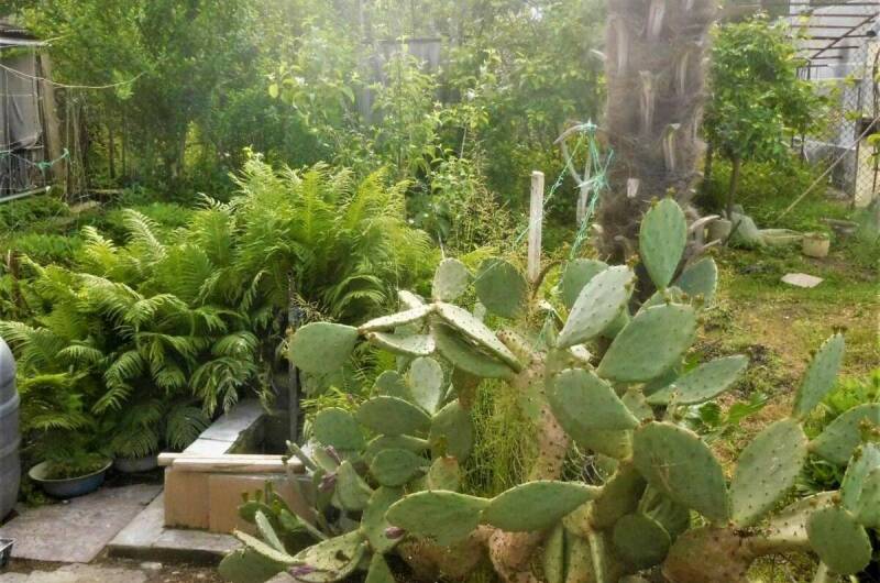 Гостевой дом на Адлейба 75