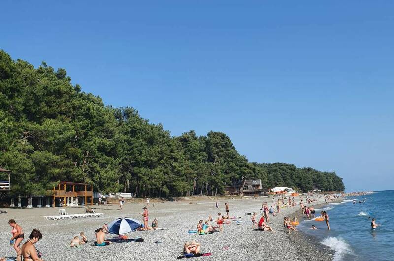 Гостевой дом «Сосновый рай»