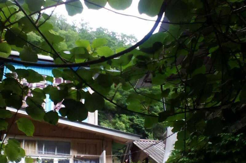 Часть дома у реки