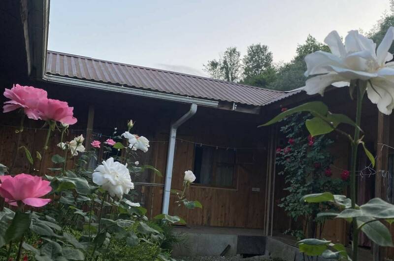 Гостевой дом «Райский Сад»