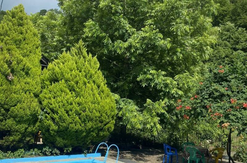 Гостевой дом «Райский Сад»