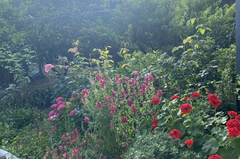 Гостевой дом «Райский Сад»