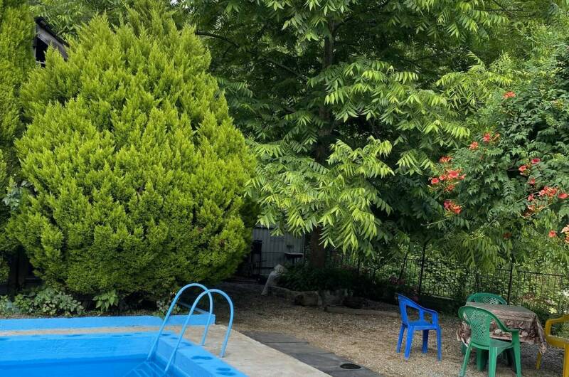 Гостевой дом «Райский Сад»