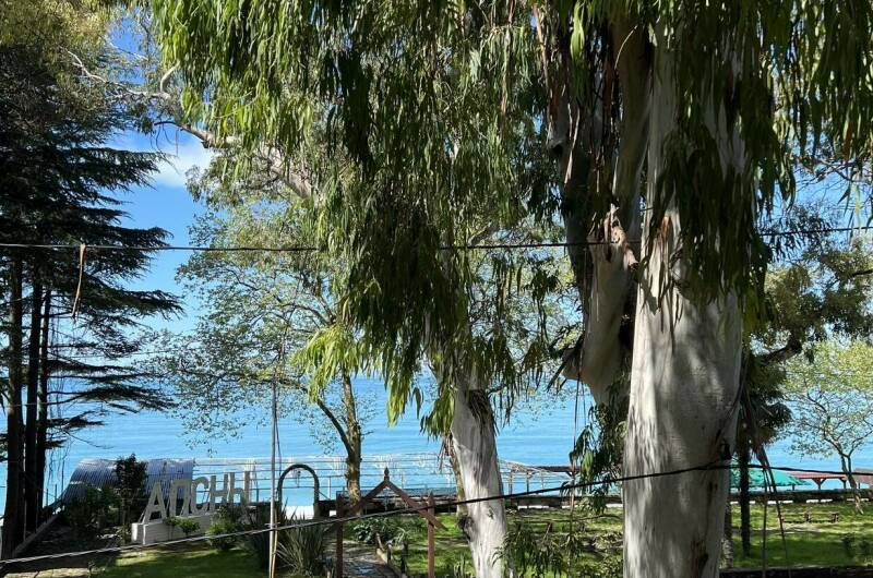 2-х комнатная квартира «Старая Гагра»