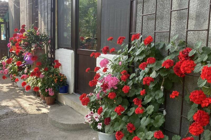 Частный дом «Traum»