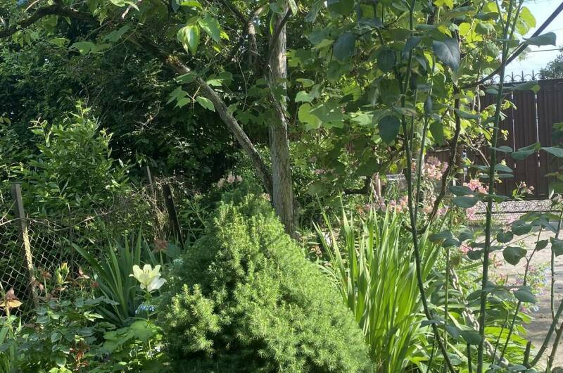 Частный дом «Traum»