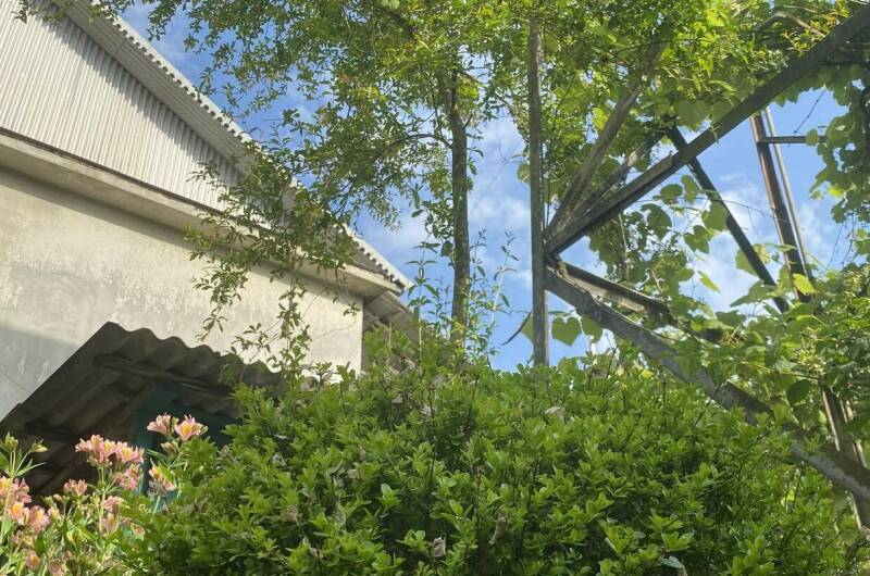 Частный дом «Traum»